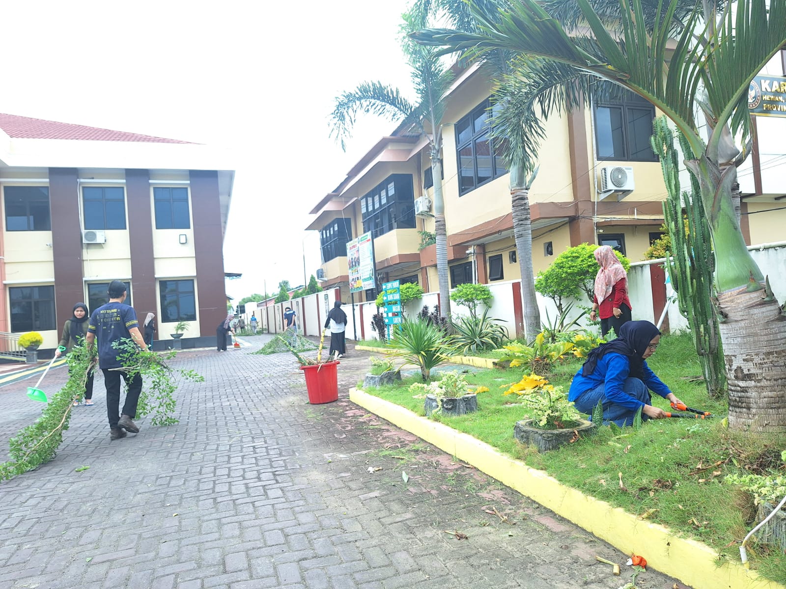 WhatsApp Image 2025 02 21 at 08.27.56