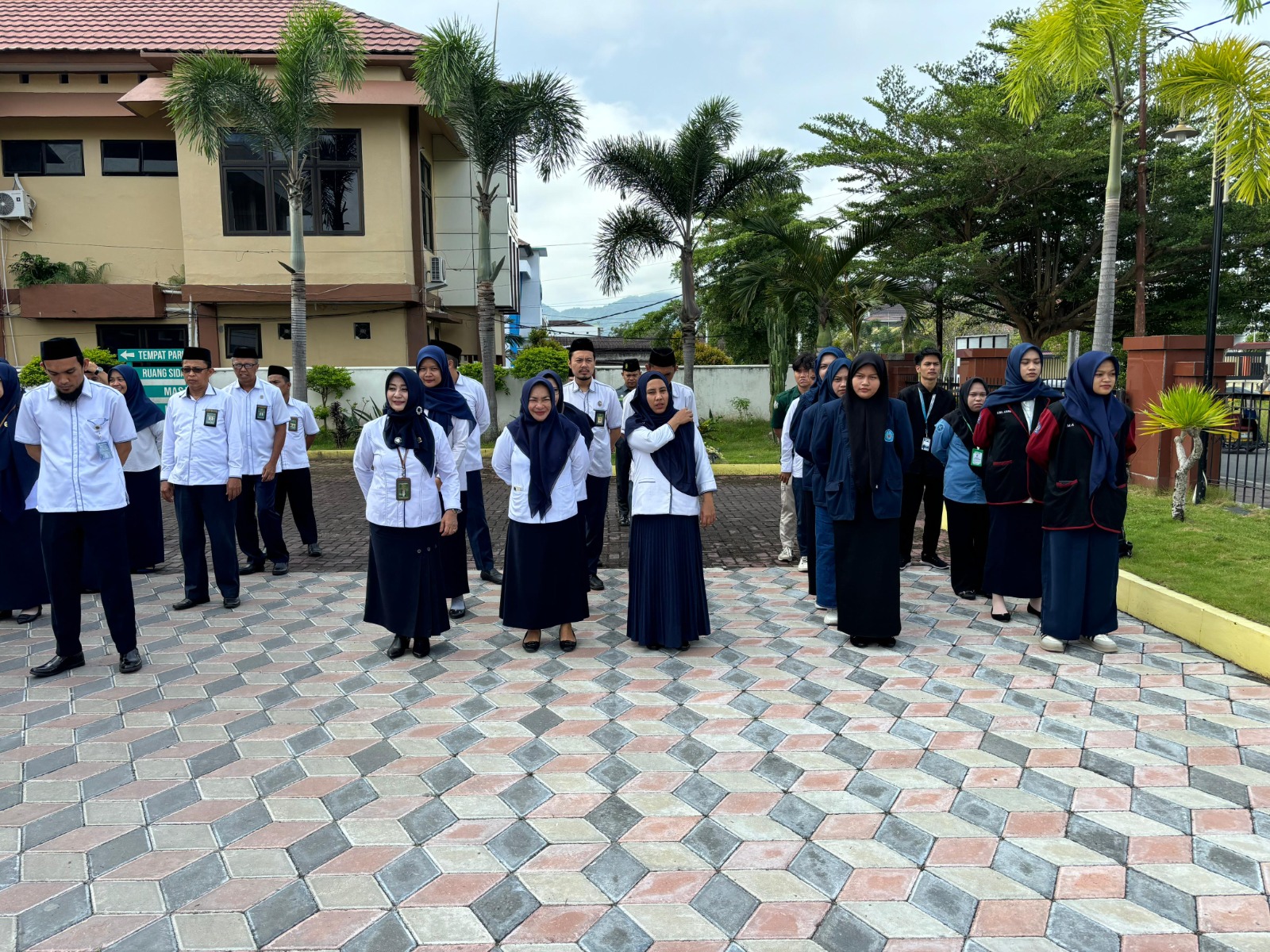 WhatsApp Image 2025 02 24 at 16.45.30 3