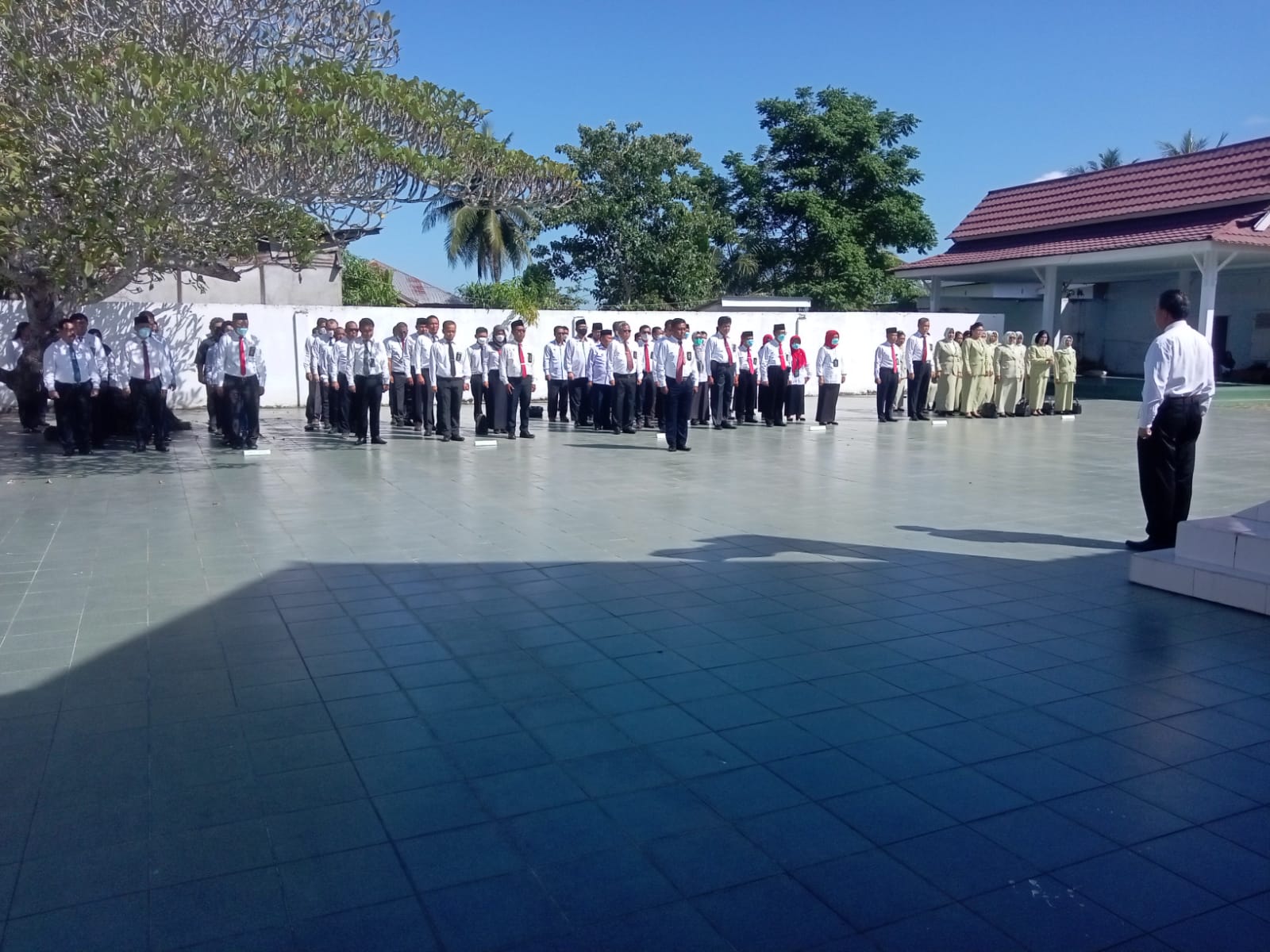 WhatsApp Image 2023 08 14 at 11.41.34